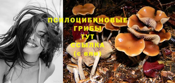 молекула духа Михайловка